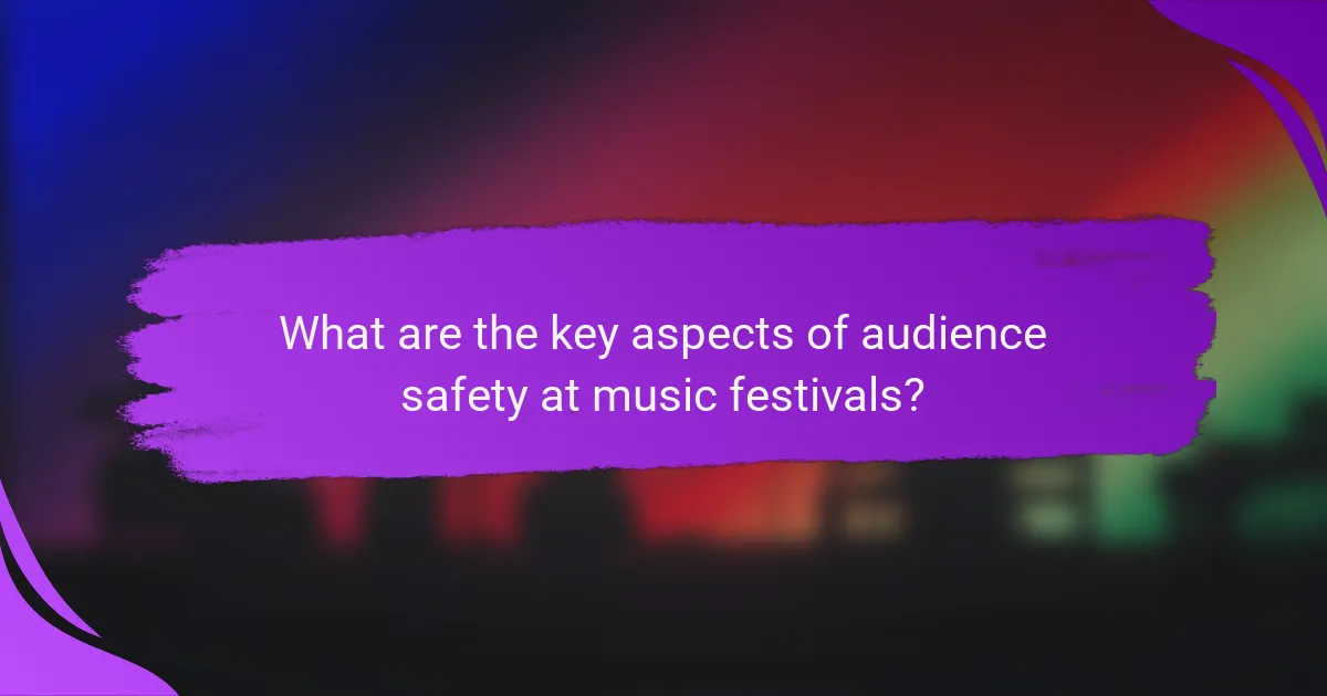 What are the key aspects of audience safety at music festivals?