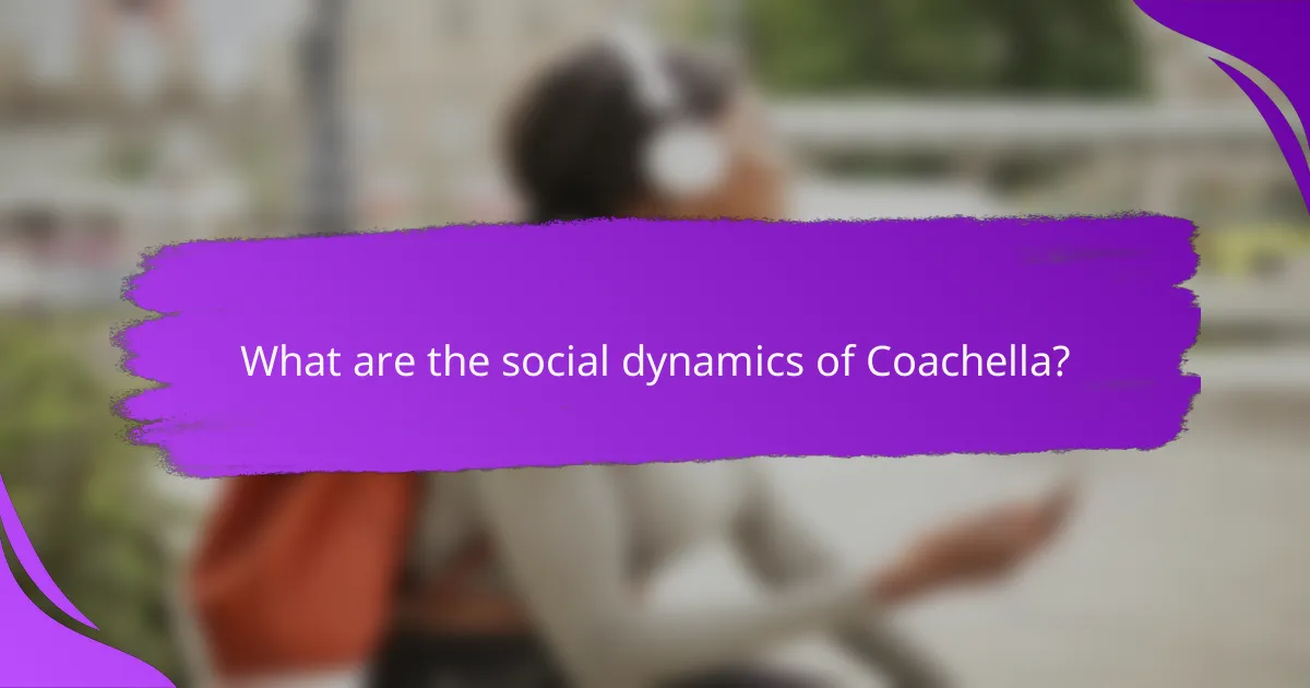 What are the social dynamics of Coachella?
