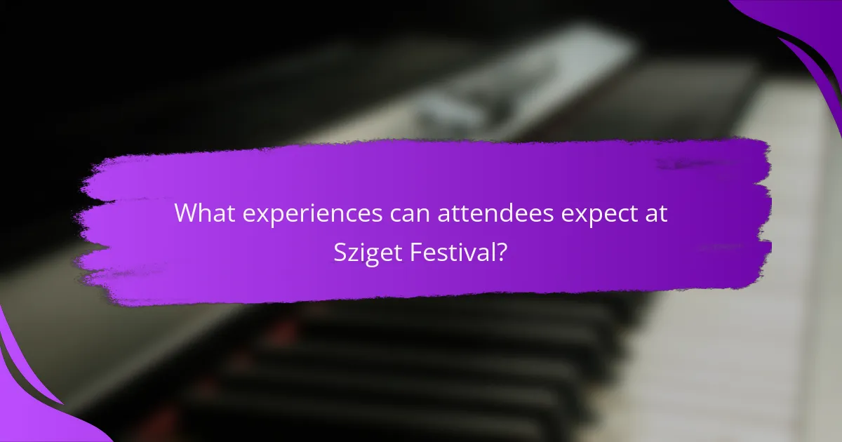 What experiences can attendees expect at Sziget Festival?